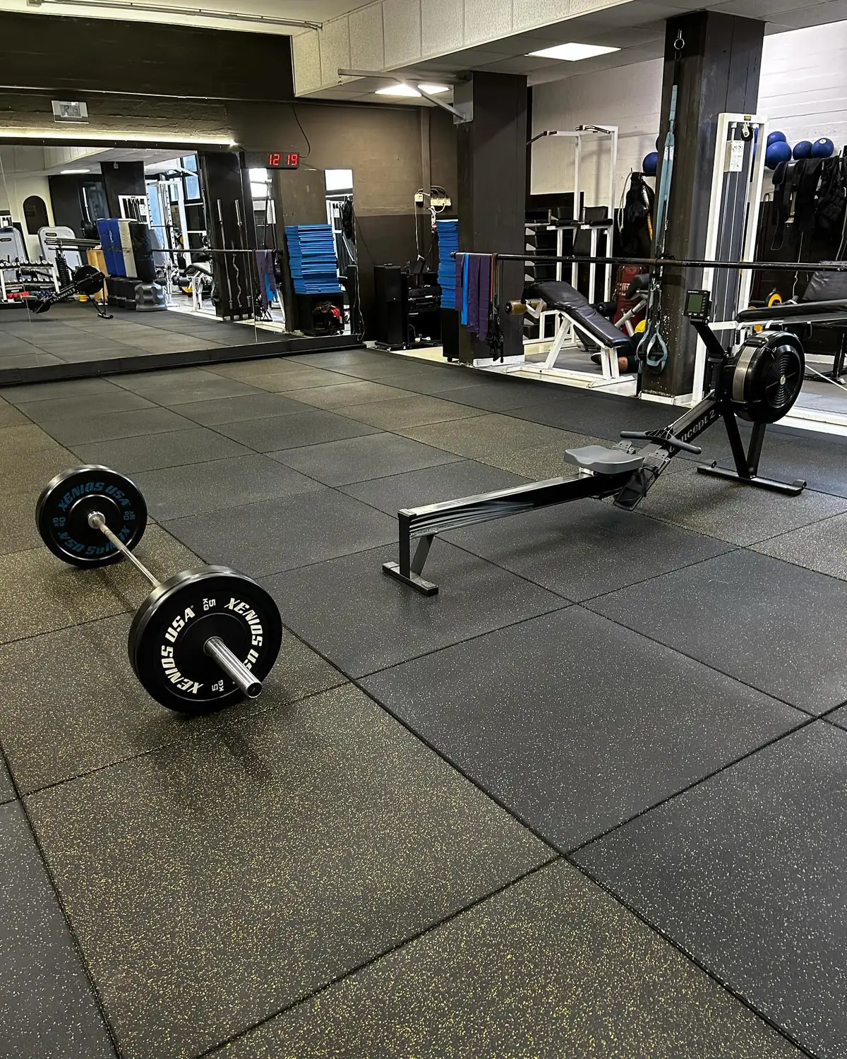 Sala pesi della Palestra Hollywood con bilanciere olimpico